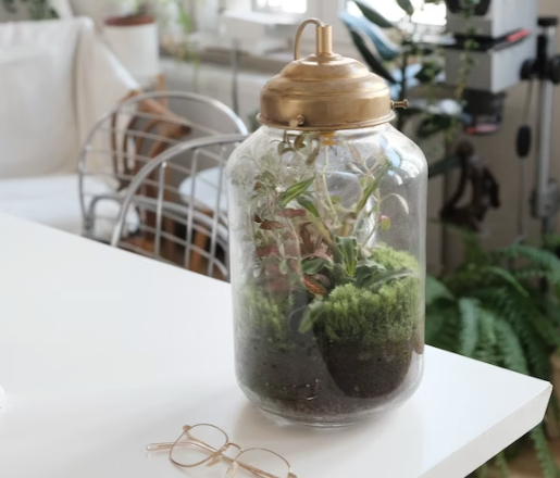 how to build a terrarium